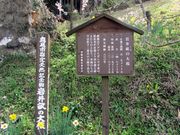 CCꃉC_[̊䐤̑̓eʐ^3