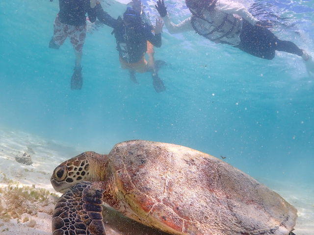 �C�T����_CHAMP TOUR �{�Ó�