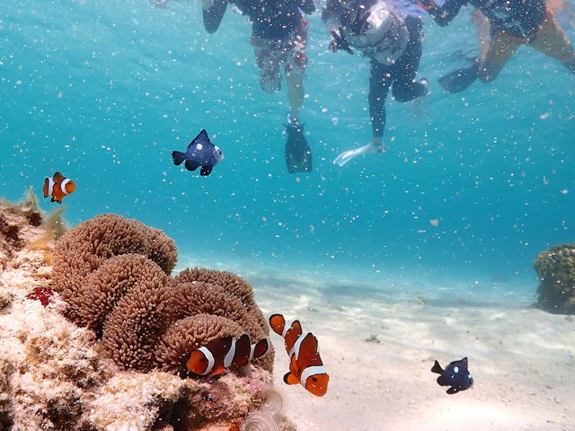 �j������_CHAMP TOUR �{�Ó�