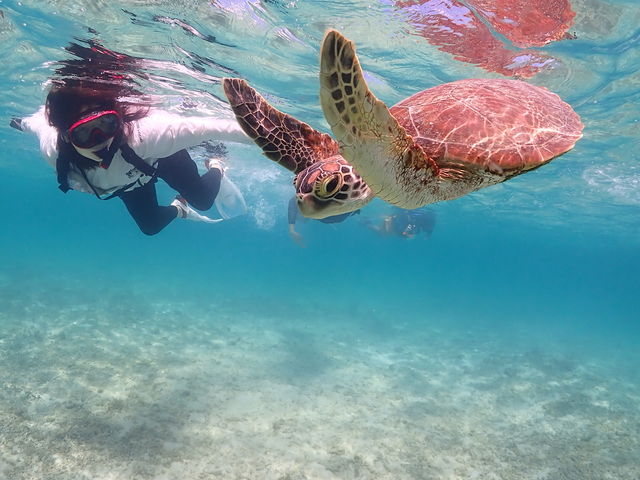 �ꏏ�ɉj����_CHAMP TOUR �{�Ó�