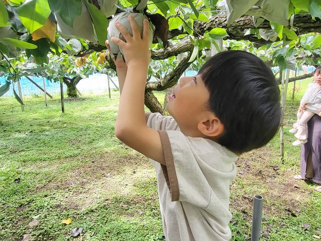 �Ƃ��Ă��傫�ȗ��ł��̎����͐V���ł����A_�������