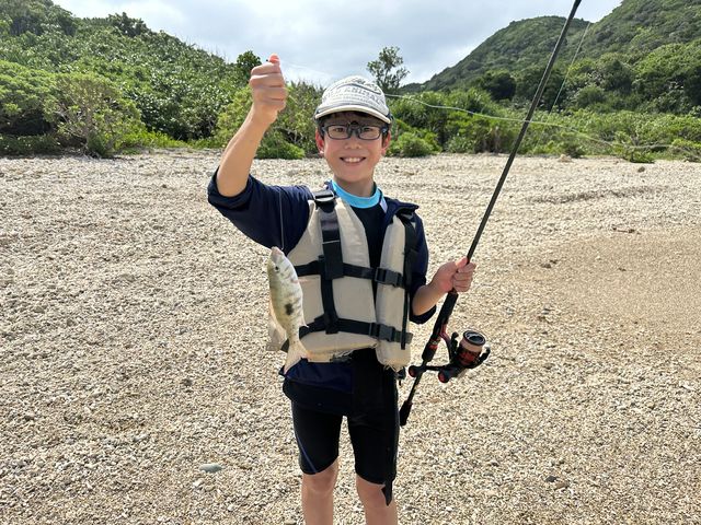 ���������������ނ�܂���_DSF�Ί_��