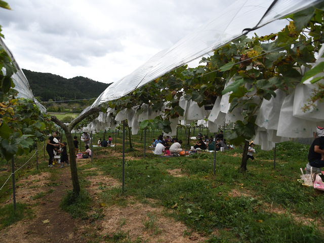 yjł󂢂ĂƎv܂B_ObˊόuhE