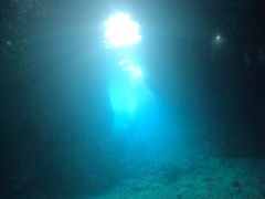 ̐̓AJiT_CrOւ̓eʐ^1