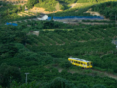 �ۂ���񂳂�̓V���l���ΓS���ւ̓��e�ʐ^1