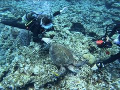 KOÑV[}bNX_CrONuւ̓eʐ^1