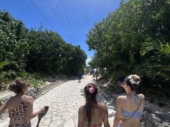 ق܂ꂳ̃}Vbv }[Chւ̓eʐ^1