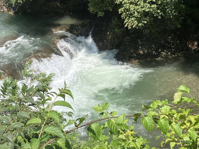 �M���̉Q_�l�����M��