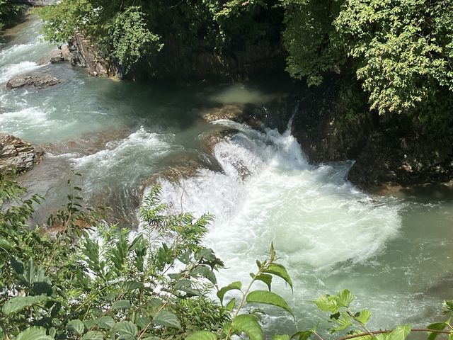 �M���̉Q_�l�����M��