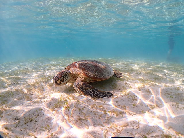 �B�e���Ă�������E�~�K���ł�_���Ⴑ����