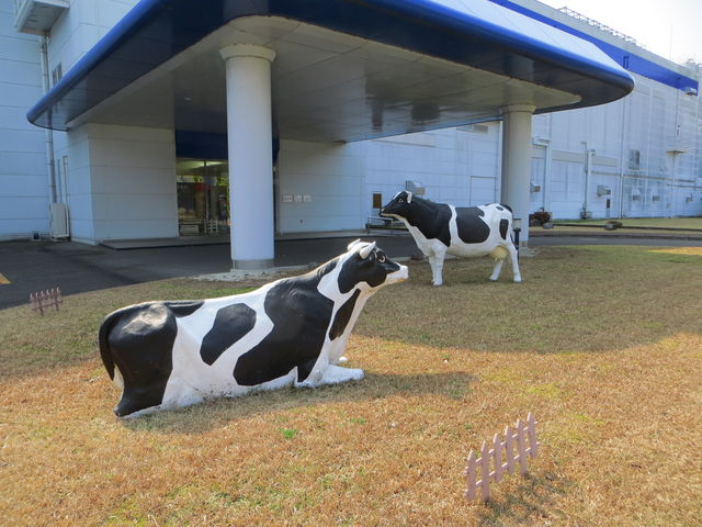 Oɂ鋍̃jg_󃁃O~NsH