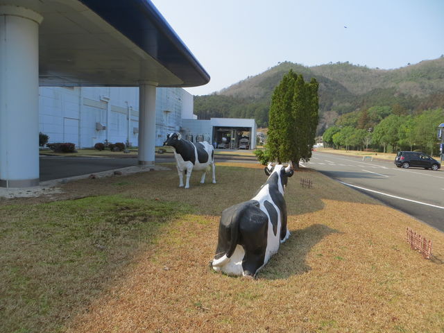 CCꃉC_[̐󃁃O~NsH̓eʐ^2