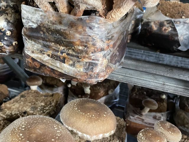 �����Ȃ��������ł��B_�O�H�_�������₫�t�@�[��