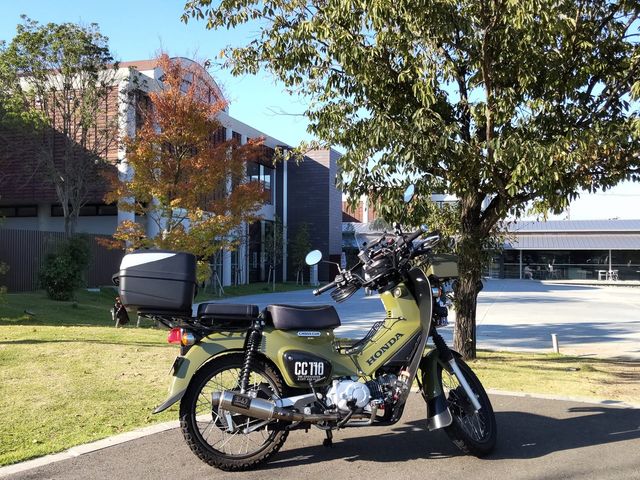 �V�����Ă��ꂢ�Ȏ{�݁B_�����s���N���i�{��/�ׂ񂪂瑺