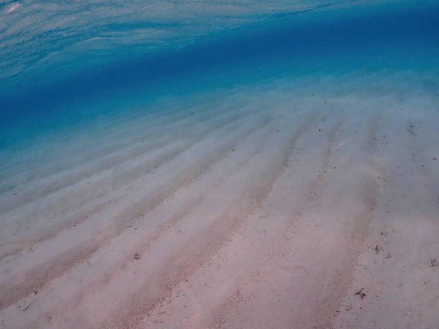 ����ȂɃL���C�Ȏʐ^���R�[�X���Ŏ���Ă��炢�܂����I_�V���m�[�P���c�A�[�@��`��