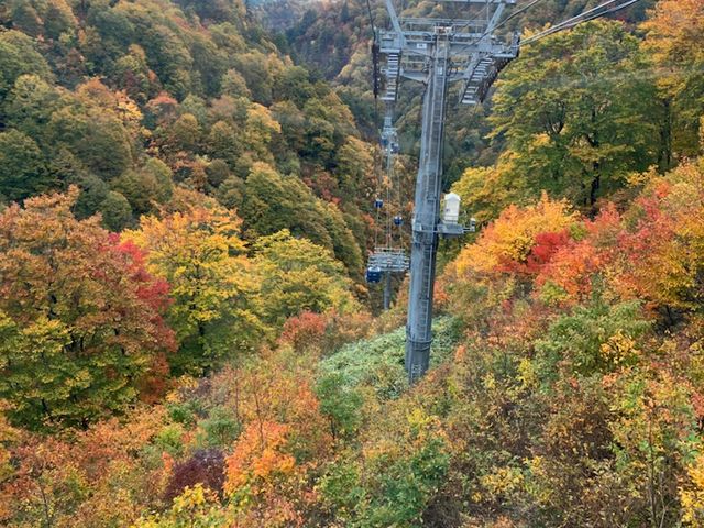 �g�t�^������I_�c��X�L�[��