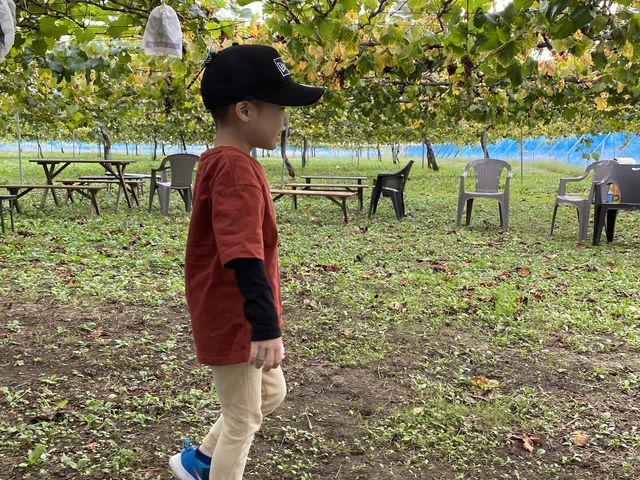 �L�X�Ƃ����_���ł����I_����ʎ���