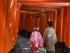 3939panda̋s^ւ̓eʐ^1