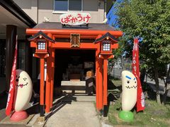 �ۂ񂱂���̐V������ׂ������ւ̓��e�ʐ^1