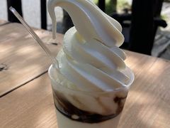 �Ԑ��؂���̃W���[�W�[�q�� �J�b�v���ւ̓��e�ʐ^1