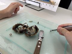 N[o[PERLABLUւ̓eʐ^1