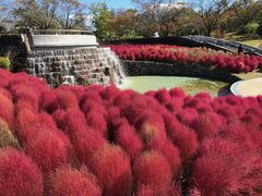 ZUNDAM̍ĉ݂m̌ΔȌւ̓eʐ^1