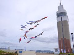 ܂̌ܘVXJC^[ւ̓eʐ^1