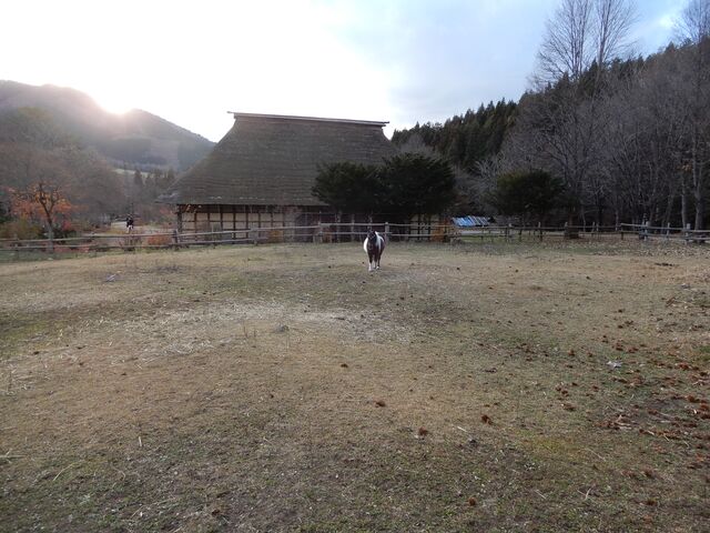 ���n����Ɩڂ������A�����������ł��B_����ӂ邳�Ƒ�