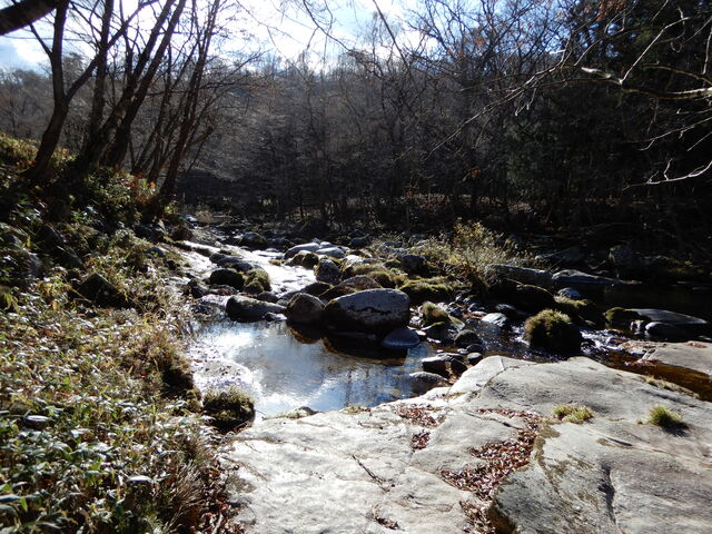 ������������A�J�b�p������񂶂�Ȃ����H�Ǝv�킹�鎩�R�̔������ł����B_�d�،k