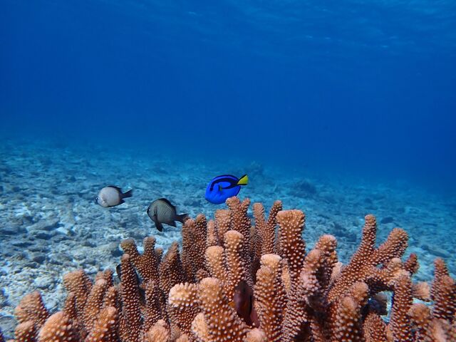 �A������������_���l���V�ѐ��X�@mine