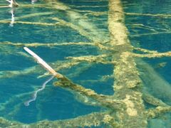 䂢̃BgJ̓]ւ̓eʐ^1