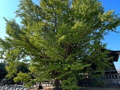 �V���^�C�i�[����̍��w��V�R�L�O����{�������ւ̓��e�ʐ^1