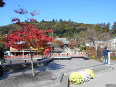 �g�V���[����̏C�P������ւ̓��e�ʐ^1