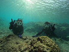 emi̐̓AJiT_CrOւ̓eʐ^1