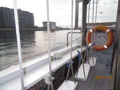 g̃}Õ}O̓Xig~tBbV[YeX- ƂĂjւ̓eʐ^1