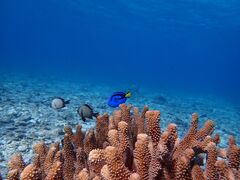 FloweȑlVѐX@mineւ̓eʐ^2