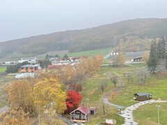 �f�B�����[����̏\���l�C�`���[�Z���^�[�ւ̓��e�ʐ^1