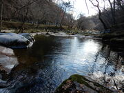 mick񂳂̏d،k̓eʐ^4