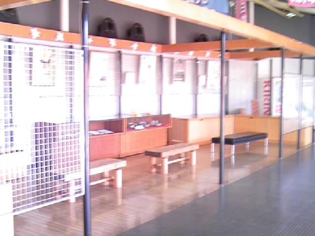 �ٓ�_�������~�X�P�[�g�Z���^�[