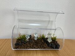 KRKINOKO����̃��u�W���p���u�����h�ւ̓��e�ʐ^1