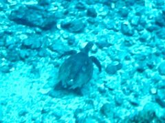 񂳂̃veNg_CrOւ̓eʐ^1