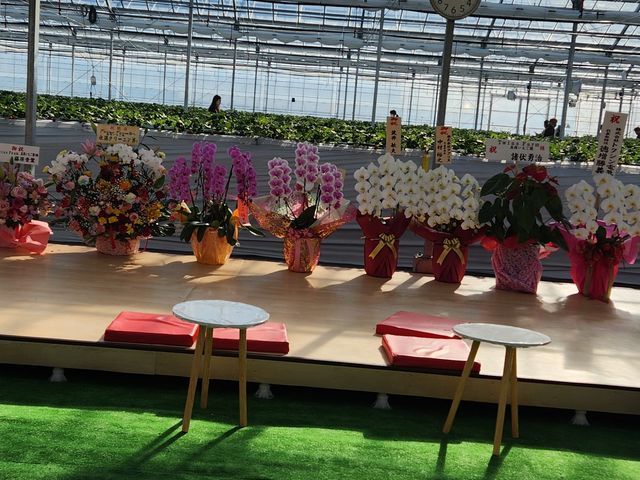 �I�[�v���L�O_Twins Farm �^����������