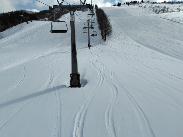 �E�T�M�̑���_�W���l�X�I��