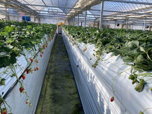 �茳�Ŏ���ʒu�B�n�E�X���͒g�����ď㒅�v��Ȃ��ł��I_�{�c��������