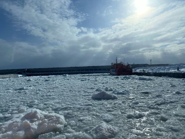 �p���͂т�����A�J���������o�}�����Ă���܂��B�������Ȍi�F�ł����B_���X�ӕX�D �K�����R���U