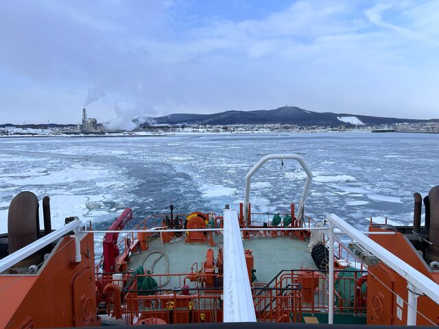 �݂��班������ĎB��܂���_���X�ӕX�D �K�����R���U