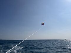  炢̋{ÓpZ[O all good marine 385ւ̓eʐ^1