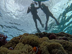 NqE̐̓A _CrOVbvaւ̓eʐ^1