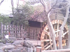 �T���v������̐[�厛���Ԋقւ̓��e�ʐ^1