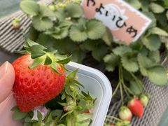 cnjÃC`SmCGւ̓eʐ^1